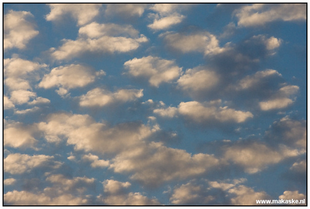 <br />
<br />
<br />
<b>Op straat belicht</b><br />
Op straat belicht laat foto's zien die ik, zoals de titel van deze rubriek al aangeeft, op straat maak. Overal waar ik me met een camera begeef en waar straten zijn met grappige, mooie of bijzondere mensen en/of situaties kan ik plaatjes voor deze rubriek maken. Het zijn dus zeker niet alleen foto´s van Epe.<br />