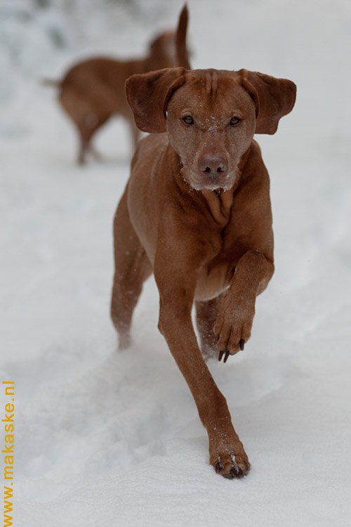 20100904-9I0X1578.jpg 20100904-9I0X1578.jpg