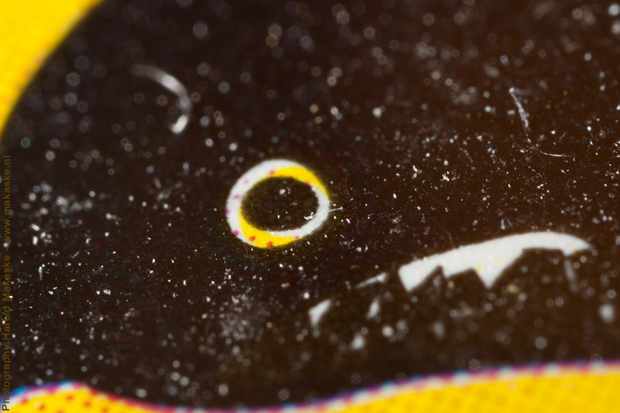 20101028-9I0X0269.jpg 20101028-9I0X0269.jpg