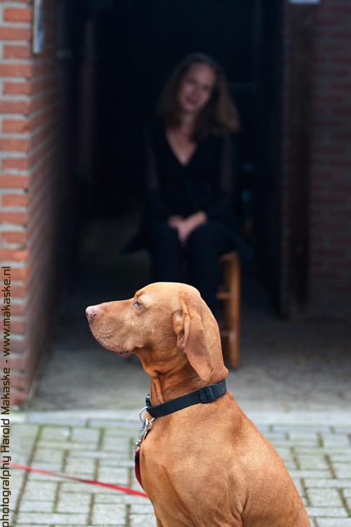 20110912-9I0X1860.jpg 20110912-9I0X1860.jpg